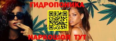 ГАЛЛЮЦИНОГЕННЫЕ ГРИБЫ Вязники