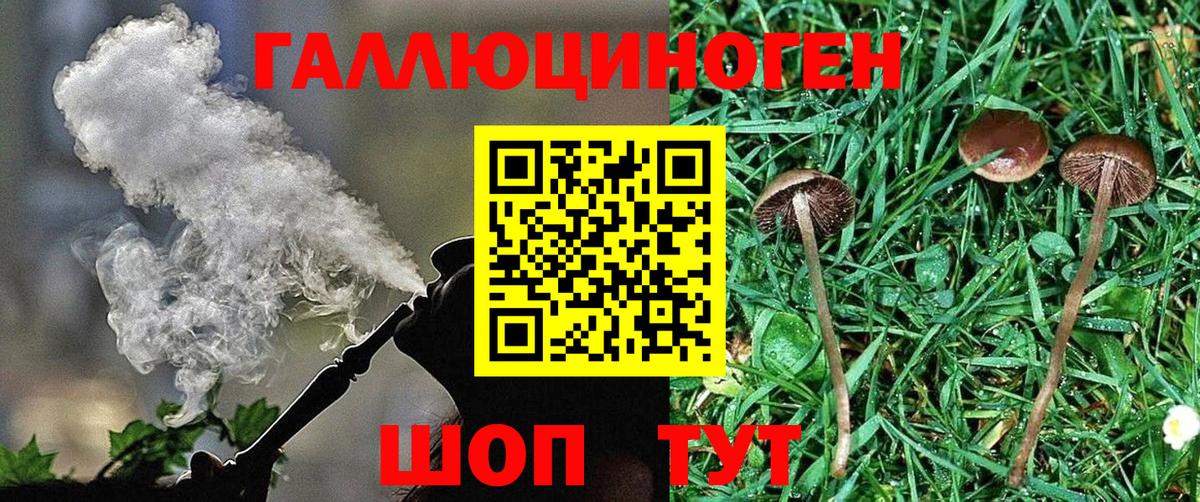 Горячий Ключ  Галлюциногенные грибы прущие грибы  Вход с VPN  Псилоцибиновые грибы прущие грибы 